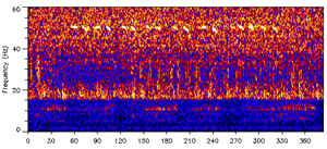 Spectrogram of the 52-hertz whale’s calls