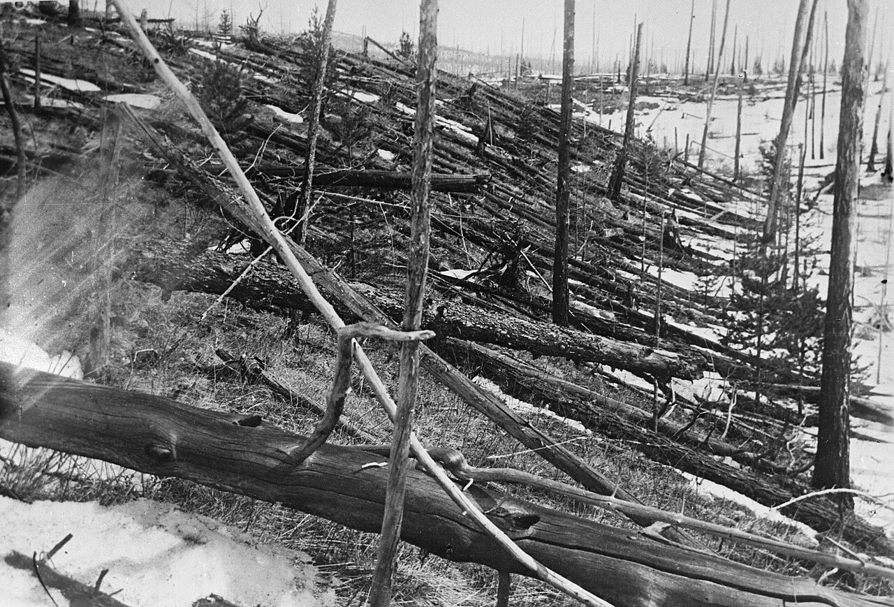 Trees knocked flat across the Siberian forest at Tunguska