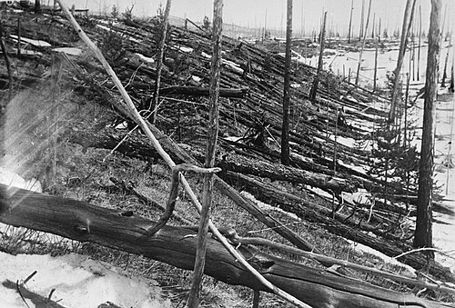 Trees knocked flat across the Siberian forest at Tunguska