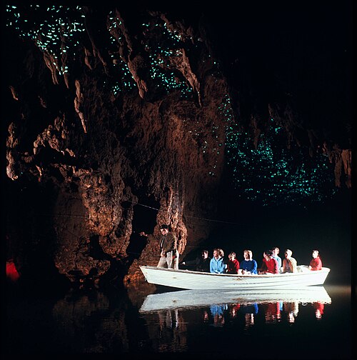 Waitomo Glowworm Caves, by Photograph by Michael Willison
