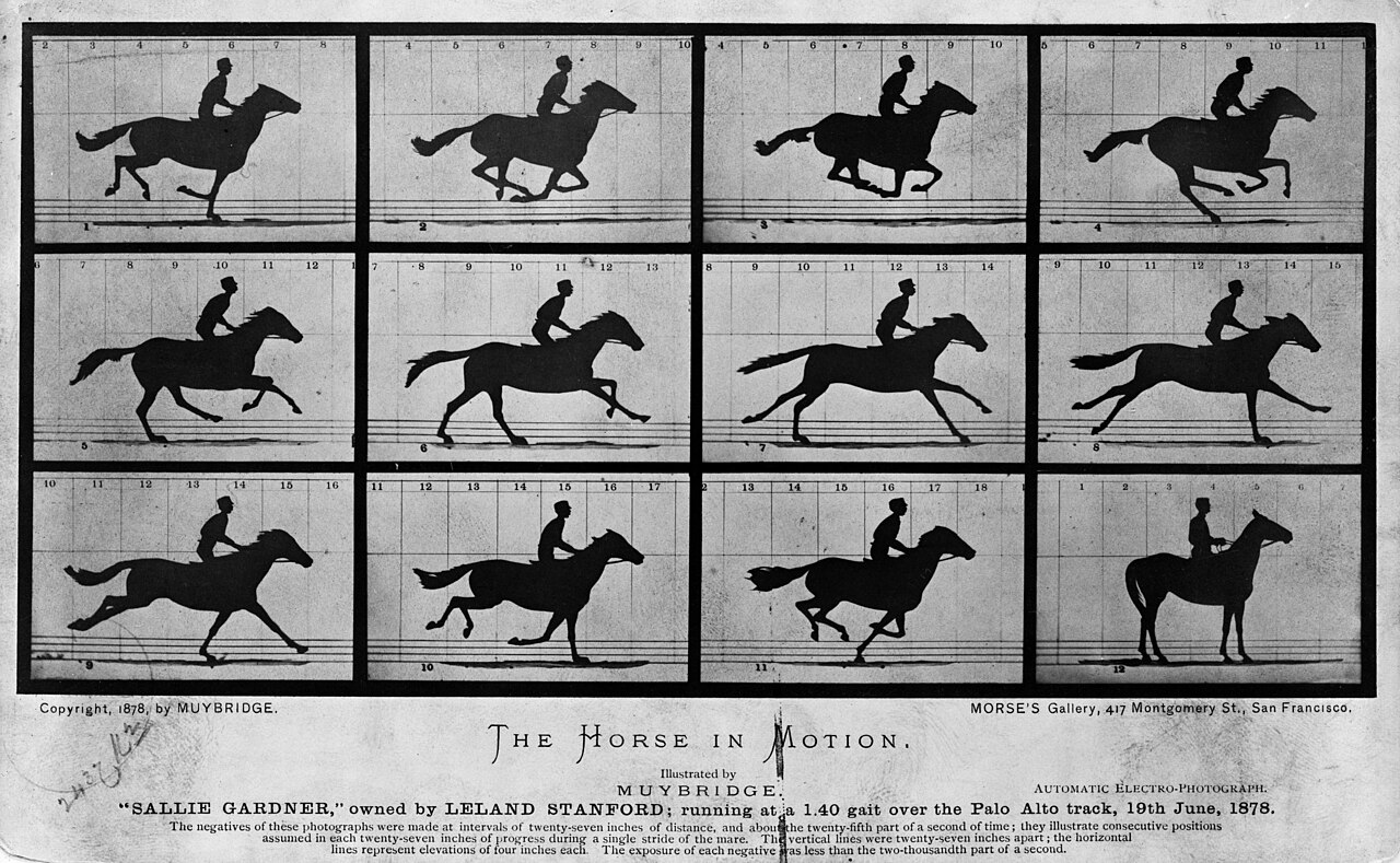 The Horse in Motion, by Eadweard Muybridge
