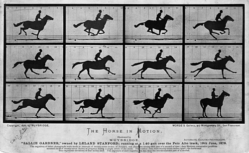The Horse in Motion, by Eadweard Muybridge